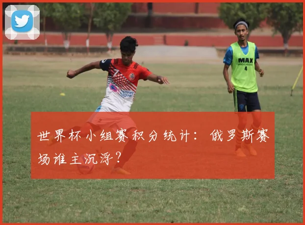 世界杯小组赛积分统计：俄罗斯赛场谁主沉浮？